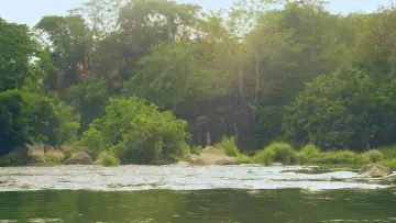Zasłona do filmu "Alamat ng Isdang Kulay Bahaghari" #488471