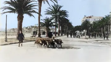 Zasłona do filmu "Et Dieu créa la Côte d