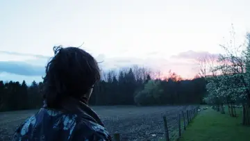 Zasłona do filmu "Le Perroquet dans sa Soucoupe (Short Version)" #488452
