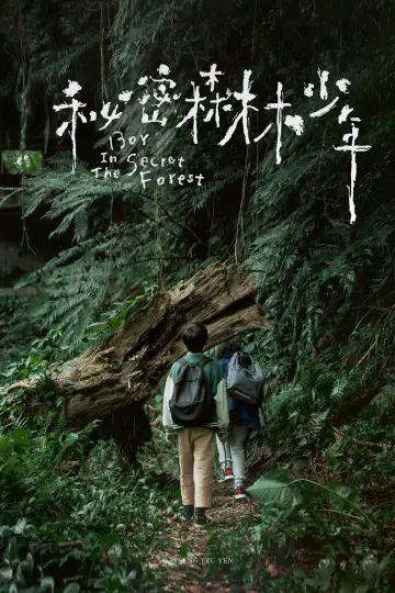 秘密森林少年