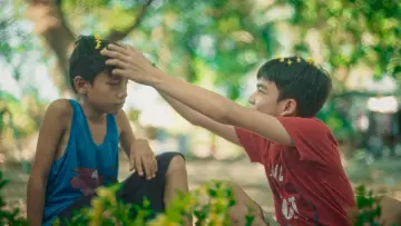 Bahay, Baboy, Bagyo