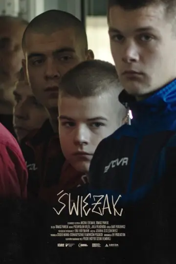 Plakat do filmu "Świeżak" #1121475