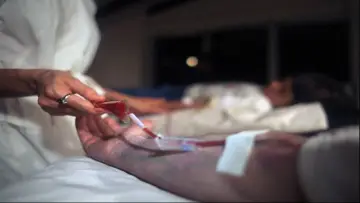 Pura sangre