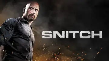 Zasłona do filmu "Infiltrator" #121114