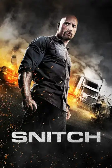 Plakat do filmu "Infiltrator" #121127