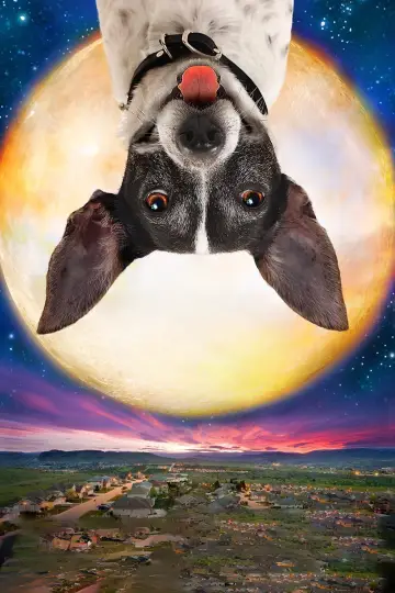Plakat do filmu "Pies-wampir" #1746806