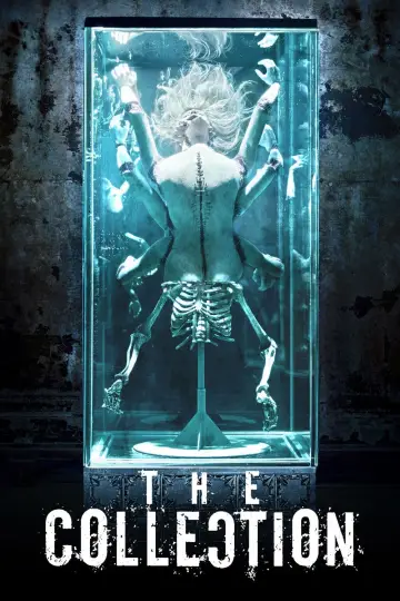 Plakat do filmu "Kolekcjoner" #141856