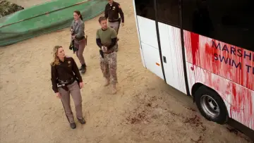Zasłona do filmu "Aligator: Ostatni Rozdział" #344247