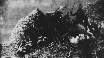 Zasłona do filmu "Les Aventures de Robinson Crusoé" #965636