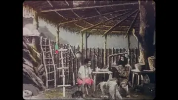 Zasłona do filmu "Les Aventures de Robinson Crusoé" #965638