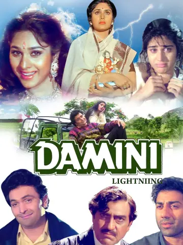 Plakat do filmu "Damini" #671004