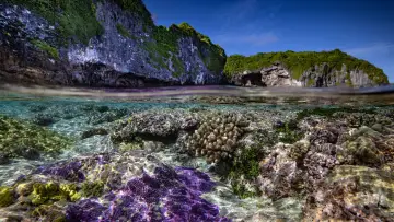 Zasłona do filmu "Protecting Paradise: The Story of Niue" #737823