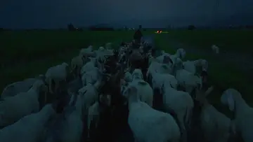 Zasłona do filmu "Lupi Nostri" #977129