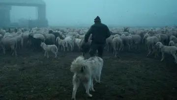 Zasłona do filmu "Lupi Nostri" #977131