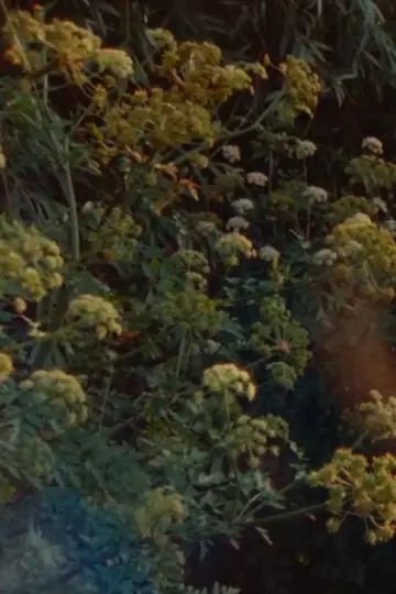 Plakat do filmu "Sept promenades avec Mark Brown" #1138161