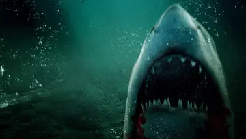 Zasłona do filmu "Lone Star Shark 2" #1900483