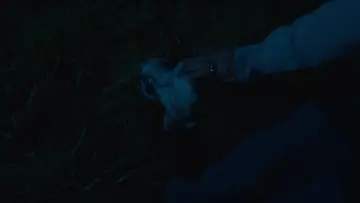 Zasłona do filmu "Sprawiedliwość owiec" #958472