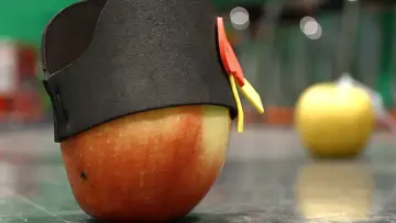 Zasłona do filmu "Bad Apple" #492188