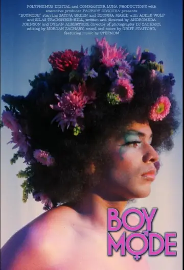 Plakat do filmu "Boy Mode" #882558