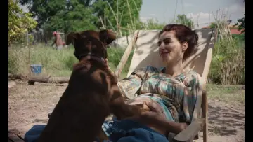 Zasłona do filmu "Dźwięki miłości" #774823