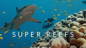 Zasłona do filmu "Super Reefs" #1138343