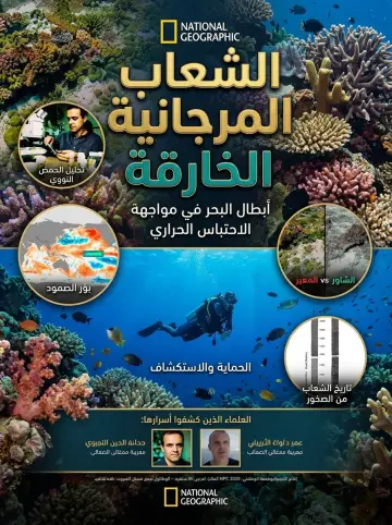 Plakat do filmu "Super Reefs" #1173018