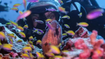Zasłona do filmu "Super Reefs" #504094