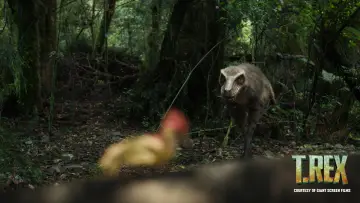 Zasłona do filmu "T. REX" #1117622