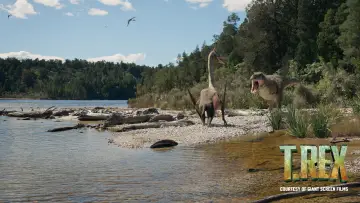 Zasłona do filmu "T. REX" #1117625