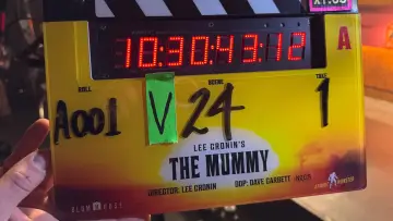 Zasłona do filmu "Lee Cronin