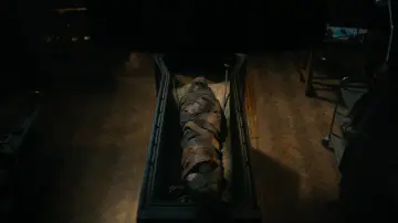 Zasłona do filmu "Lee Cronin