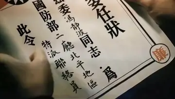 Zasłona do filmu "抓特务" #911064
