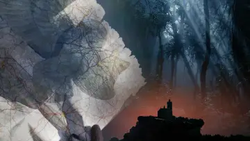 Zasłona do filmu "A la poursuite de la chouette d
