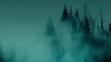 Zasłona do filmu "Hunting Matthew Nichols" #775398