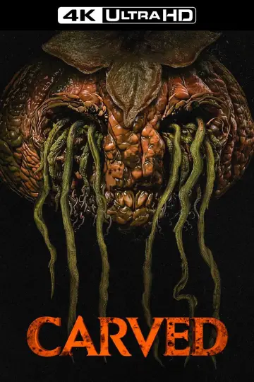 Plakat do filmu "Carved: zemsta" #737592