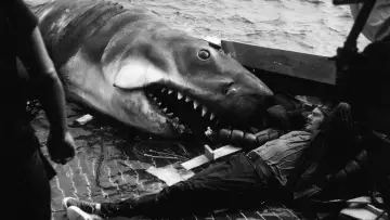 Zasłona do filmu "Szczęki: 50 lat kinowego hitu" #680237