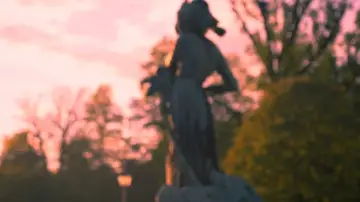 Zasłona do filmu "Newton