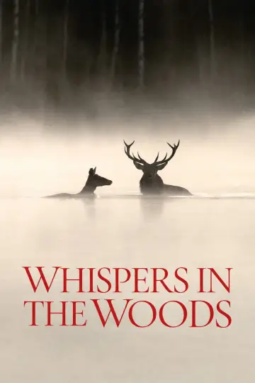 Le Chant des forêts plakat