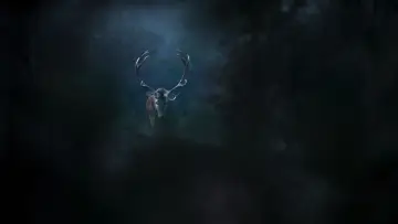 Zasłona do filmu "Le chant des forêts" #534631