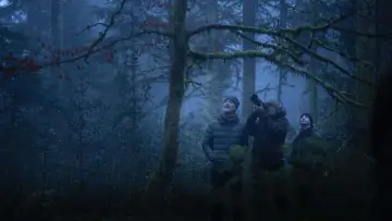 Zasłona do filmu "Le chant des forêts" #534633