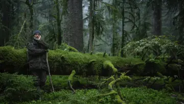 Zasłona do filmu "Le chant des forêts" #534636