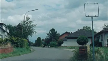 Zasłona do filmu "Hang am Baum" #541439