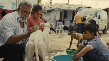 Zasłona do filmu "Ciudad sin sueño" #764950