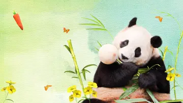Zasłona do filmu "안녕, 할부지" #1213823