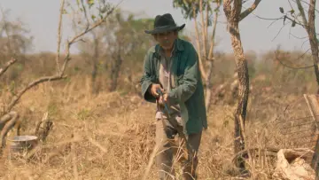 Oeste Outra Vez