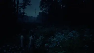 Zasłona do filmu "Akiplėša" #696190