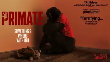 Zasłona do filmu "Szympans" #766102