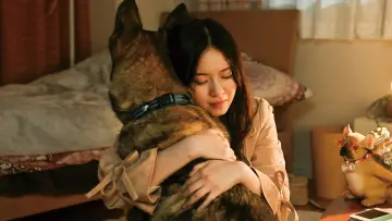 Zasłona do filmu "少年と犬" #671603