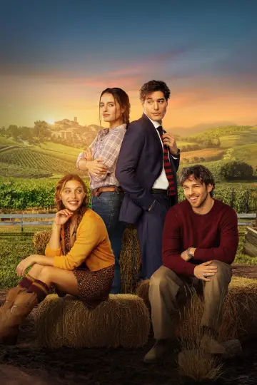 Plakat do filmu "Non è un paese per single" #815929