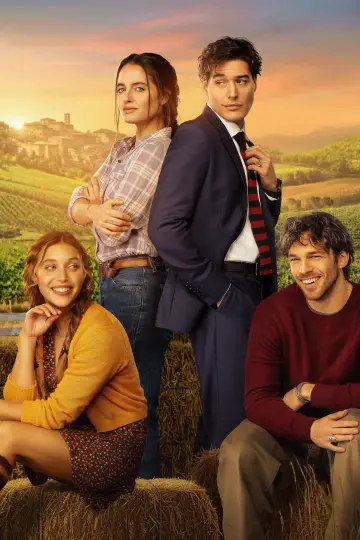 Plakat do filmu "Non è un paese per single" #815931